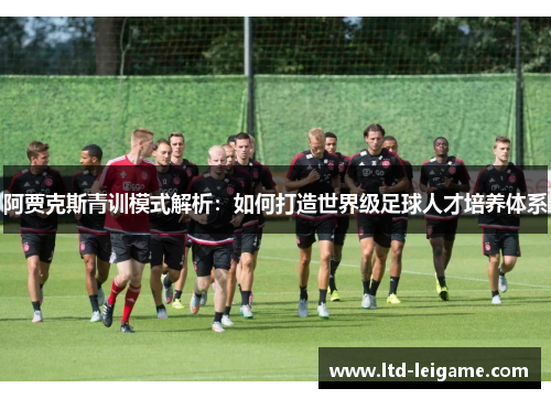 阿贾克斯青训模式解析：如何打造世界级足球人才培养体系