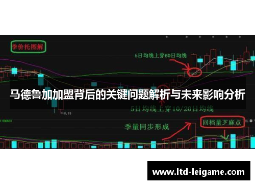 马德鲁加加盟背后的关键问题解析与未来影响分析